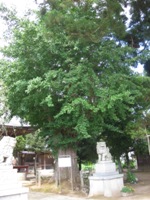 松崎神社・北条塚古墳