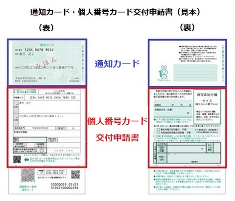 通知カード・個人番号カード交付申請書（見本）