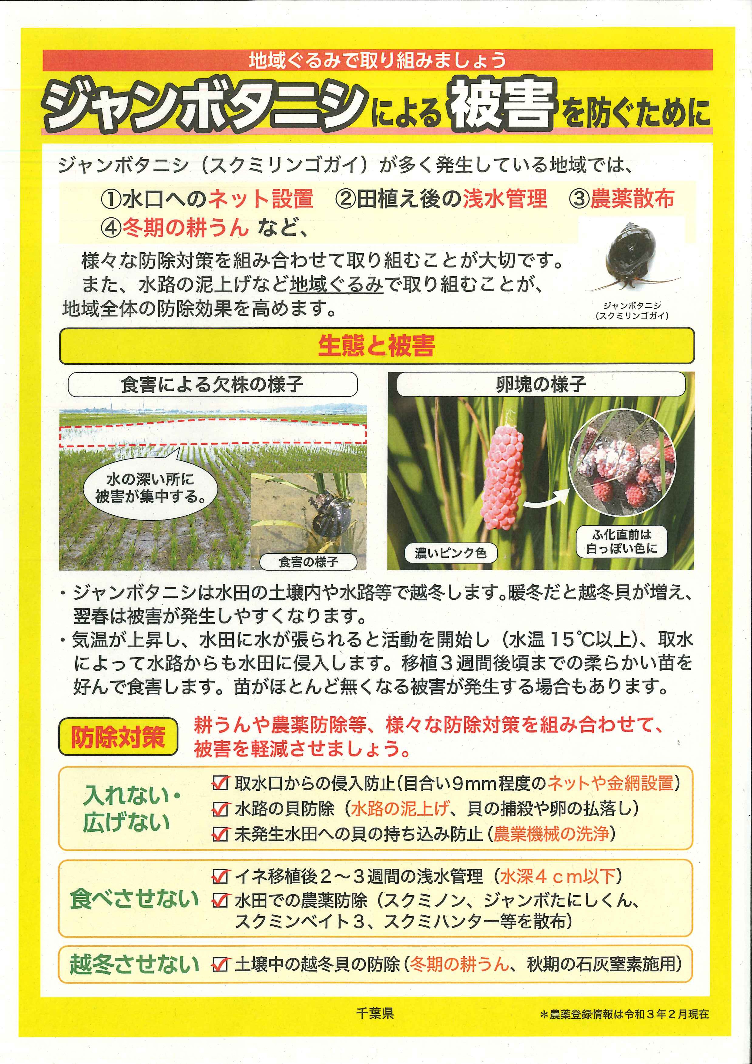 地区全体でジャンボタニシの被害防止に努めましょう 多古町ウェブサイト