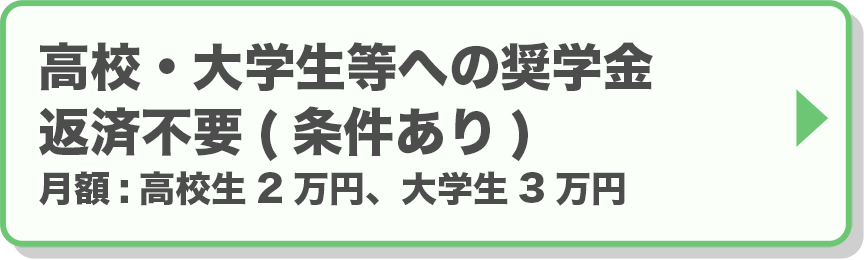 高校・大学生等への奨学金返済不要（条件あり）月額：高校生2万円、大学生3万円