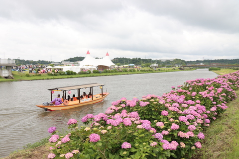 第38回あじさい祭り_あじさいセレモニー