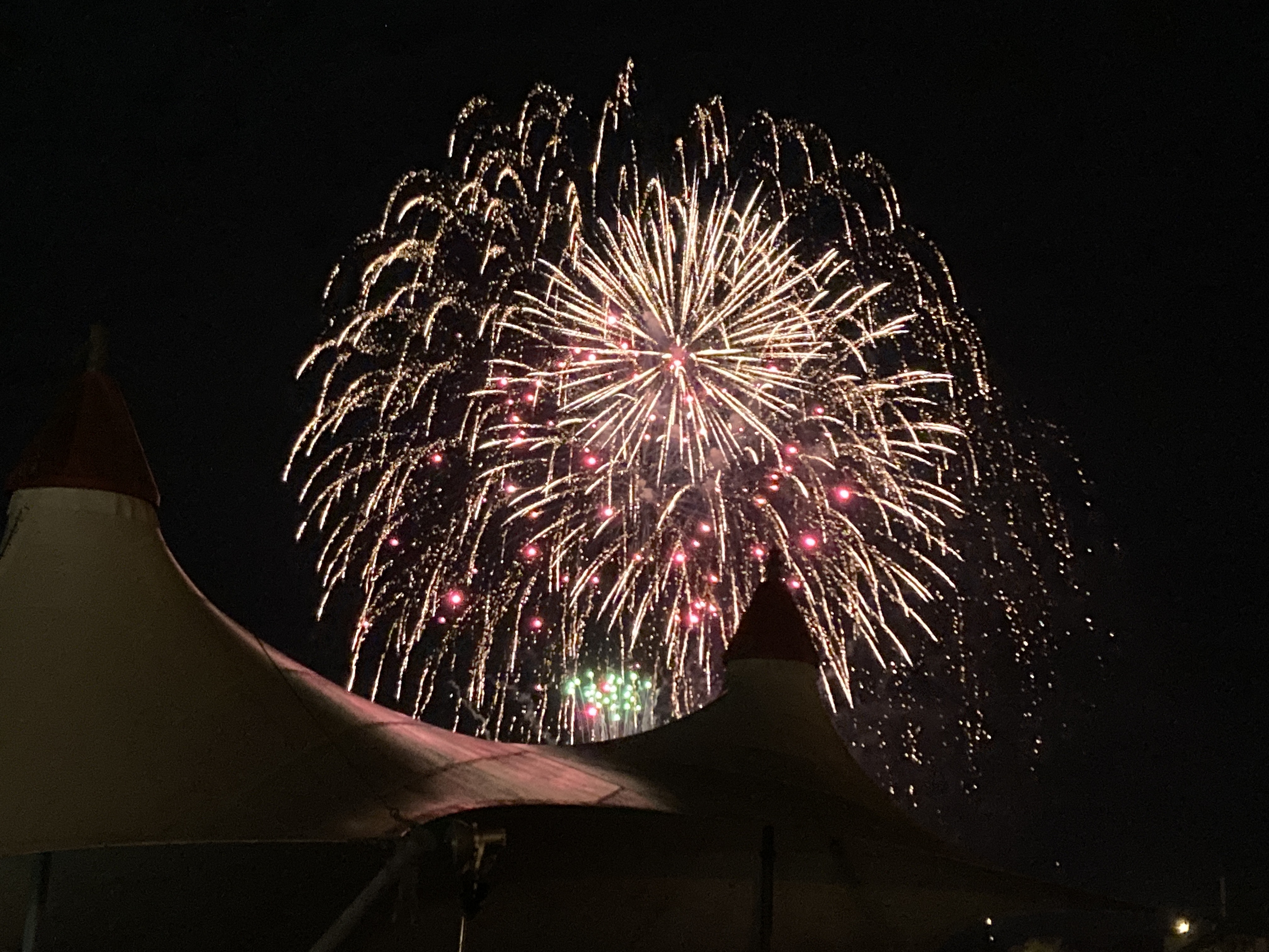 千葉日報 サプライズ花火 多古の冬空に1116発 12月17日 多古町ウェブサイト 千葉日報 サプライズ花火 多古の冬空に1116発 12月17日 多古町ウェブサイト